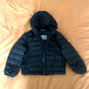 Toddler Primary Puffer Jacket
